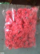 荷叶塘大量手工活串珠子 打胶枪外发 如图