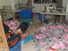 九联徐村杰智箱包加工