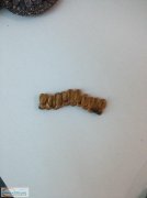 有会这种编织的联系