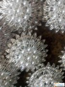 如图点钻外发加工