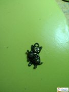 锌合金翻砂外发加工