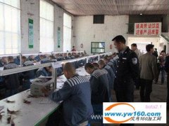 大量承接手工，半机器操作加工业务