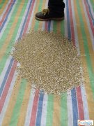 专业承接（耳钉插片点钻包装订条）价低