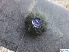 大量手工活外发 如图