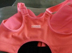 20000件泳装内衣外发加工 如图