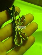 义乌兴中小区有大量手工打胶枪的活外发加工