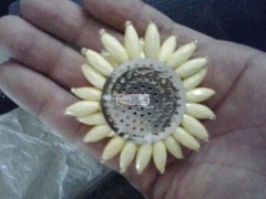 【寻外地加工厂】有手工活外发加工