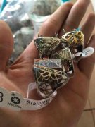 【量大】寻找做戒指托的加工厂