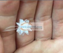 【本地外地都可以】手工编织小花外发加工 如图