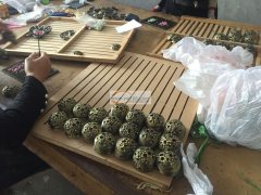 下骆宅阳光大道附近点钻加工厂