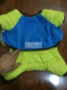 宠物服装外发