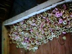 专业饰品滴油加工