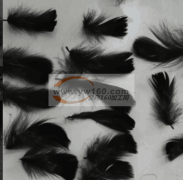 义乌诚信一区找会做羽毛花的加工厂 如图