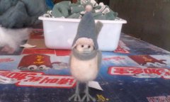 承接来料手工加工