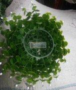 低工价来料加工，义乌，浦江，梅江，横溪。