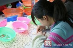 专业承接各类手工活质量保证出货快