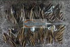 大量求购塑料发夹现货