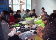 江西上饶长期手工加工厂