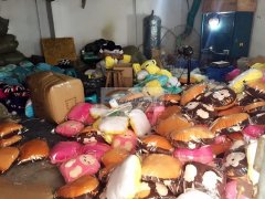 承接毛绒玩具、抱枕、靠坐垫、u型枕、热水袋、手套等充棉手工平