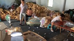 本厂承接充棉加工