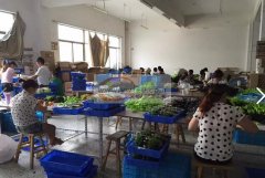 经发大道 800平米专业 检品包装