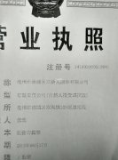 专业生产加工舞台装，游戏装，圣诞节，万圣节服装及各种公主裙。