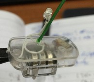 带电子红蓝双闪二极管灯  如图