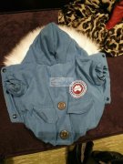 寻找做狗服的加工厂