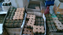 承接电子产品开发设计加工