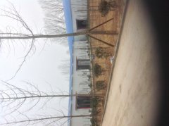 点钻.手工活加工基地