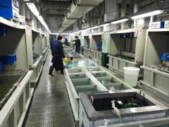 浙江新光饰品股份有限公司电镀厂承接电镀加工业务