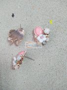 如图，寻打牙膏胶的加工厂