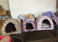 找会做宠物用品的加工厂 如图