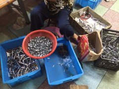 省内加工厂 长期承接小五金类或纯手工活、缝车类活专业质量保证