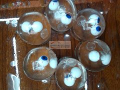 玩具手工活外发 玩具水球 发泄球