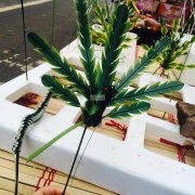 承接各种手工活，饰品加工，串珠，手链等