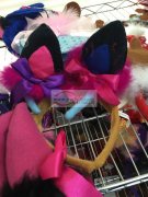 寻专业万圣节，圣诞节类产品工厂，出口外贸，订单量大