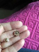 50000个点钻外发 如图