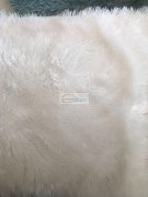 如图 60万个靠垫外发，现金结账