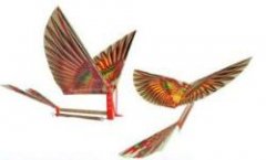 寻义乌飞鸟风筝工厂