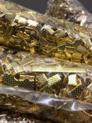 急需找这个1公分的铜夹片