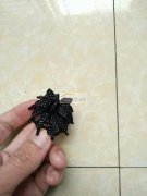 东阳有饰品翻砂外发 如图