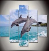 寻找做这个的联系