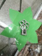 我厂有头饰喷漆夹子外发