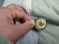 求专业做干花系列的工厂