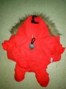 顺达专业宠物衣厂---来料加工，服装平车类，拷边类等均可加工