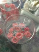 本厂有大量如图款树脂花外发点钻