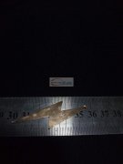 找有下图款闪电的厂家