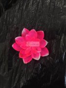 采购下图这种塑料花