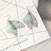 谁家有图片款翅膀，我家急需